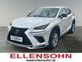 Lexus NX 300h F-Sport Hybrid Aut. inkl. Anhängevorrichtung und Weiß - thumbnail 1