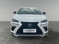 Lexus NX 300h F-Sport Hybrid Aut. inkl. Anhängevorrichtung und Weiß - thumbnail 8