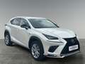 Lexus NX 300h F-Sport Hybrid Aut. inkl. Anhängevorrichtung und Weiß - thumbnail 7