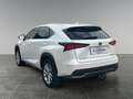 Lexus NX 300h F-Sport Hybrid Aut. inkl. Anhängevorrichtung und Weiß - thumbnail 3