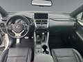 Lexus NX 300h F-Sport Hybrid Aut. inkl. Anhängevorrichtung und Weiß - thumbnail 12