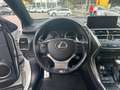 Lexus NX 300h F-Sport Hybrid Aut. inkl. Anhängevorrichtung und Weiß - thumbnail 11