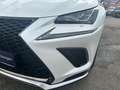 Lexus NX 300h F-Sport Hybrid Aut. inkl. Anhängevorrichtung und Weiß - thumbnail 18