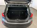 Ford Fiesta 1.1 Benzina Titanium 5 Porte Gris - thumbnail 12