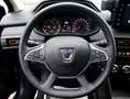 Dacia Sandero III Stepway Comfort LPG/ Navi/PDC/Kamera Blau - thumbnail 15