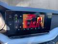 Skoda Octavia 4x4 SCOUT TDI DSG Schwarz - thumbnail 12