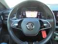 Skoda Kamiq 1.0 TSI OPF Clever AHK schwenkbar + Navi Blau - thumbnail 9