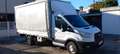 Ford Transit centina NO MAIL Blanc - thumbnail 2