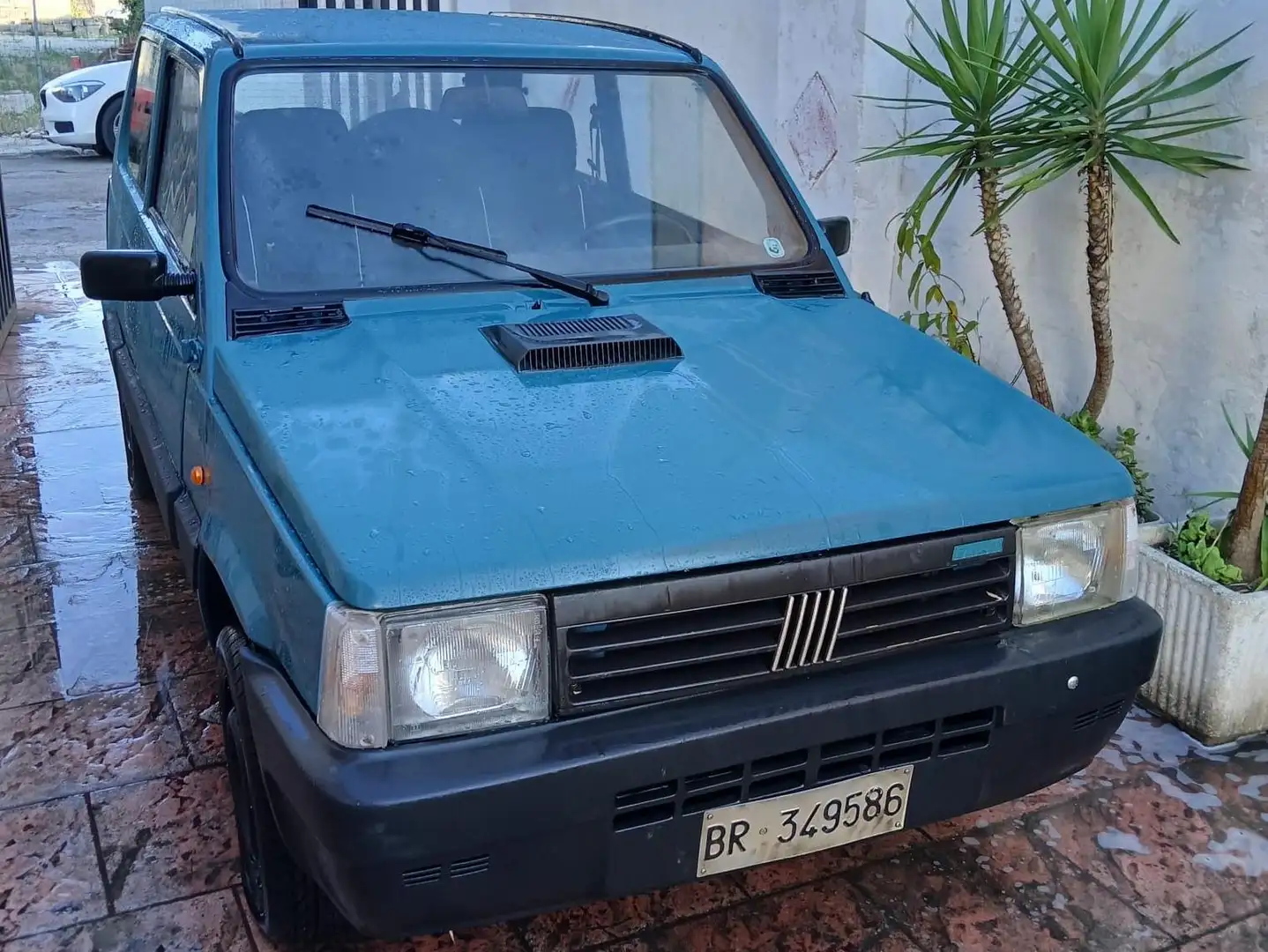 Fiat Panda Panda 750 CLX Verde - 1