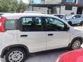 Fiat New Panda - thumbnail 7