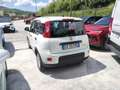 Fiat New Panda - thumbnail 8