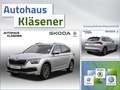 Skoda Kamiq Tour 1.0TSI 70KW LED RKAM GRA PDC VC NAV LM Argintiu - thumbnail 1
