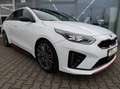 Kia ProCeed / pro_cee'd T*Vollausstattung*Scheckheft*Bestzustand* GT*Volla Weiß - thumbnail 3