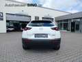 Mazda MX-30 Elektro Advantage Head-Up Memory AppleCar ab 3,33% Alb - thumbnail 5
