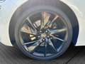 Genesis G70 Shooting Brake Sport 2.0 T-GDI *PANO*SITZKLIMA*NAVI* Weiß - thumbnail 6