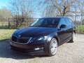 Skoda Octavia Break Benzine 18"Alu Sport EU6 zw Topwagen Nw 20 Noir - thumbnail 19