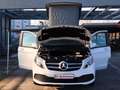 Mercedes-Benz Marco Polo V250d LED/DISTRO/MBUX+DAB/RFK/AMBIENTE/AHK/MARKISE Weiß - thumbnail 20