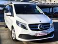 Mercedes-Benz Marco Polo V250d LED/DISTRO/MBUX+DAB/RFK/AMBIENTE/AHK/MARKISE Weiß - thumbnail 5