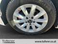 Mercedes-Benz B 180 180 CDI A-Edition Aut. Weiß - thumbnail 18