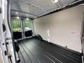 Ford Transit TREND 350L3 Kasten *Automatik Weiß - thumbnail 12