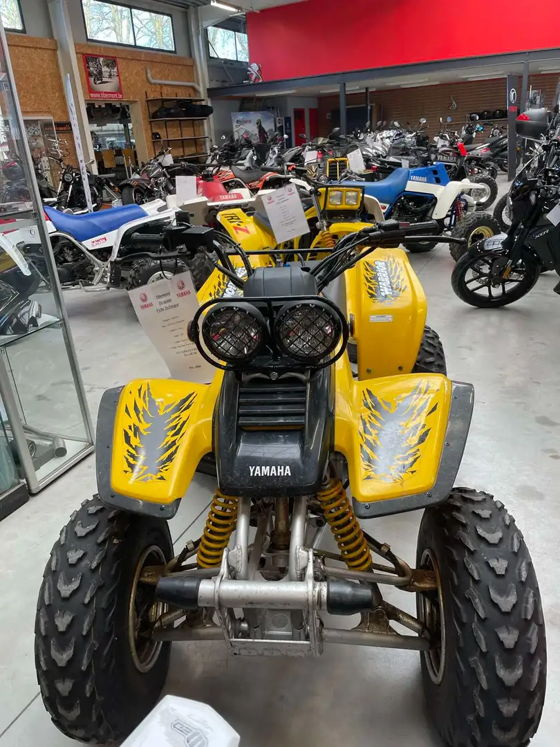 Yamaha YFM 350 Amarillo - 1