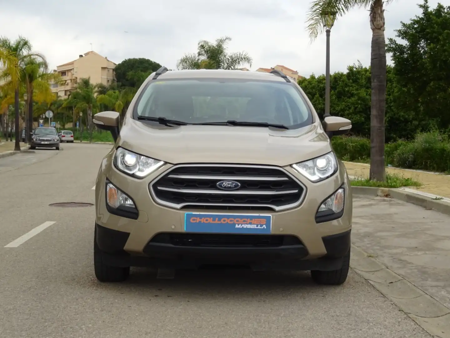 Ford EcoSport 1.0 EcoBoost Trend Aut. 125 Marrón - 2