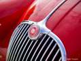 Jaguar XK XK150 OTS 3.4 Rouge - thumbnail 26