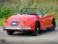 Jaguar XK XK150 OTS 3.4 Rouge - thumbnail 48