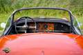 Jaguar XK XK150 OTS 3.4 Rouge - thumbnail 9