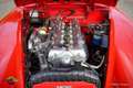 Jaguar XK XK150 OTS 3.4 Rouge - thumbnail 20