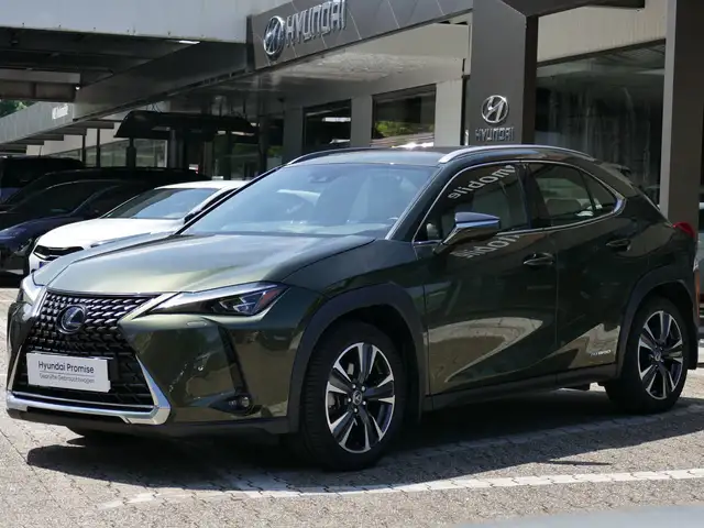 Lexus UX 250h (E-FOUR) Luxury Line*SCHIEBEDACH*360 Kamera*