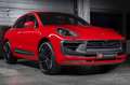 Porsche Macan Macan GTS Burmester®/Matrix/Pano/360/Carbon Nero - thumbnail 5