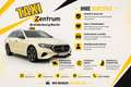 LEVC Sonstige LEVC TX 1,5 Taxi Mietwagen Kamera 1.Hand Schwarz - thumbnail 20