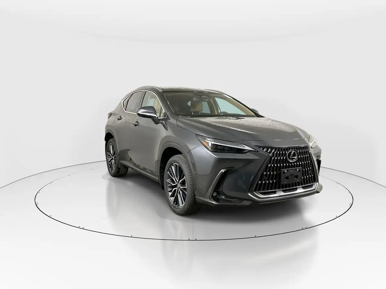 2026 Lexus NX
