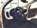 Fiat Panda S9 1.0  Hybrid Pandina - PROMO MESE + TARGA Bianco - thumbnail 10