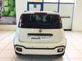 Fiat Panda S9 1.0  Hybrid Pandina - PROMO MESE + TARGA Bianco - thumbnail 7