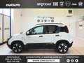 Fiat Panda S9 1.0  Hybrid Pandina - PROMO MESE + TARGA Bianco - thumbnail 1