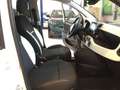 Fiat Panda S9 1.0  Hybrid Pandina - PROMO MESE + TARGA Bianco - thumbnail 14