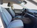 SEAT Leon 2.0 TDI CR 85 KW (115 CV) Style Blanco - thumbnail 16