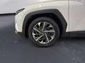Hyundai TUCSON 1.6 CRDi 48V XLine Weiß - thumbnail 15