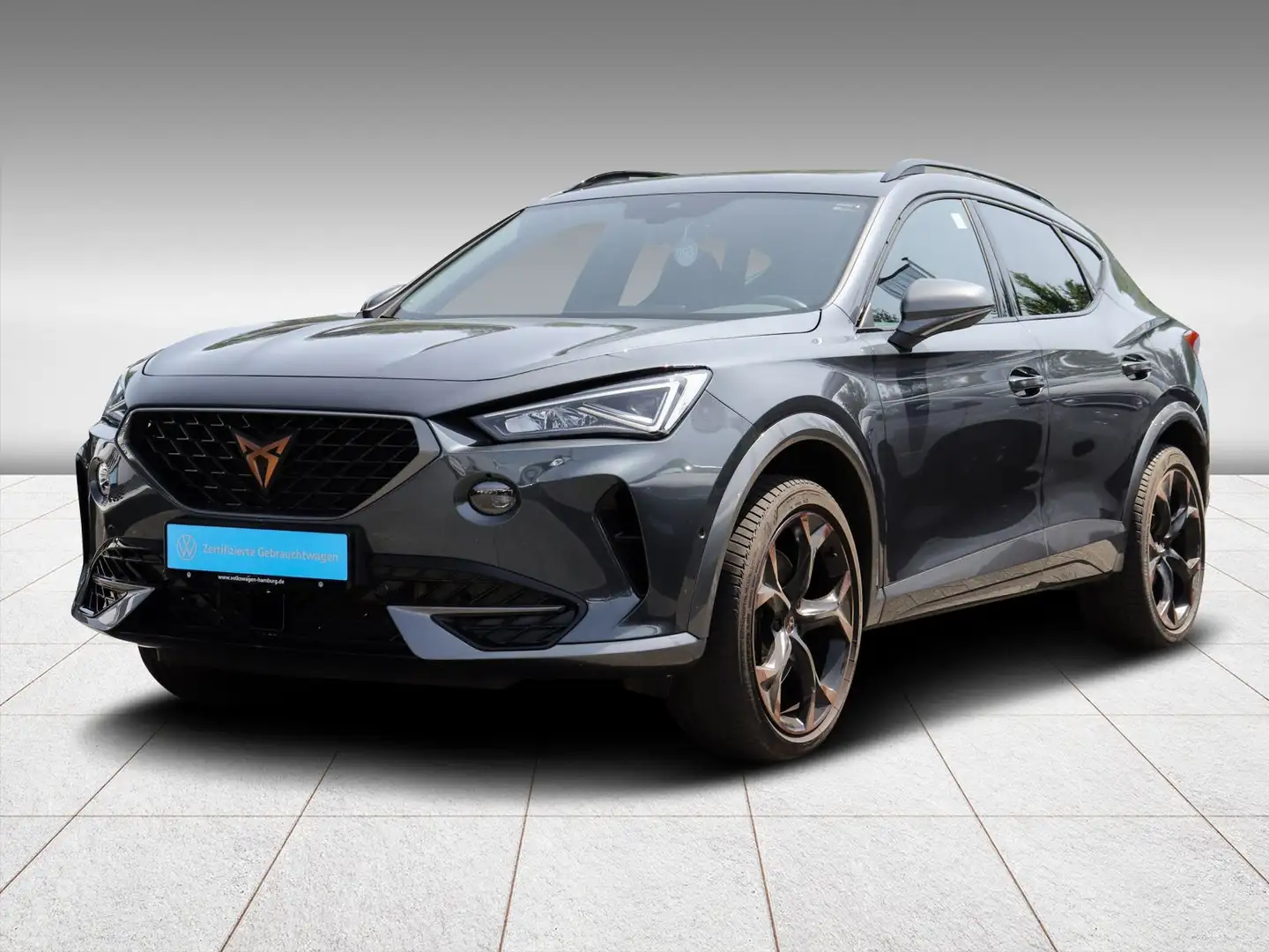 CUPRA Formentor VZ 2.0 TSI 4Drive DSG Kamera Klima LED Grau - 2