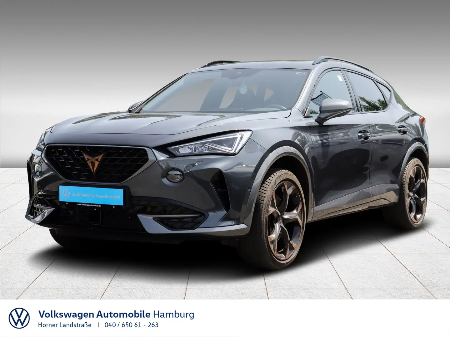 CUPRA Formentor VZ 2.0 TSI 4Drive DSG Kamera Klima LED Grau - 1