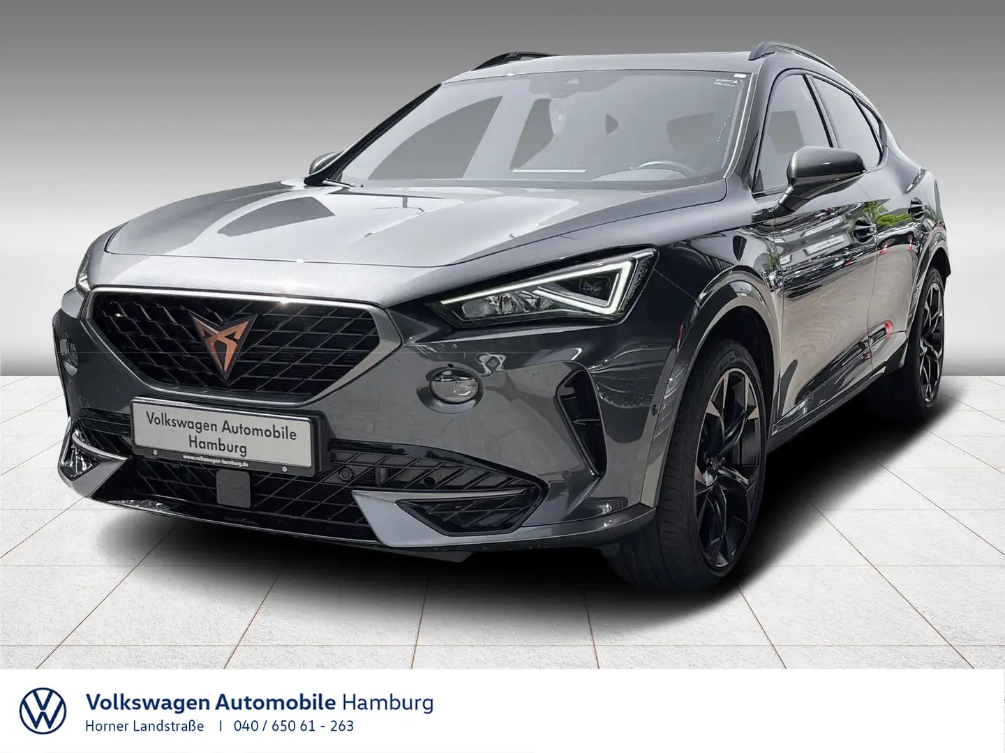 CUPRA Formentor VZ 2.0 TSI DSG 4Drive Panoramadach Grau - 1