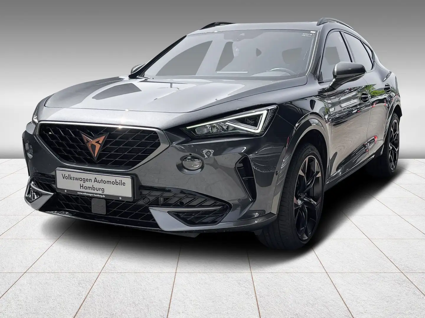 CUPRA Formentor VZ 2.0 TSI DSG 4Drive Panoramadach Grau - 2