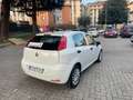 Fiat Punto 1.3 M-JET 95CV 5 PORTE VAN (N1) AUTOCARRO 4 POSTI Bianco - thumbnail 12