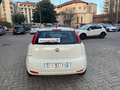 Fiat Punto 1.3 M-JET 95CV 5 PORTE VAN (N1) AUTOCARRO 4 POSTI Blanc - thumbnail 14