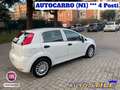 Fiat Punto 1.3 M-JET 95CV 5 PORTE VAN (N1) AUTOCARRO 4 POSTI Blanc - thumbnail 1