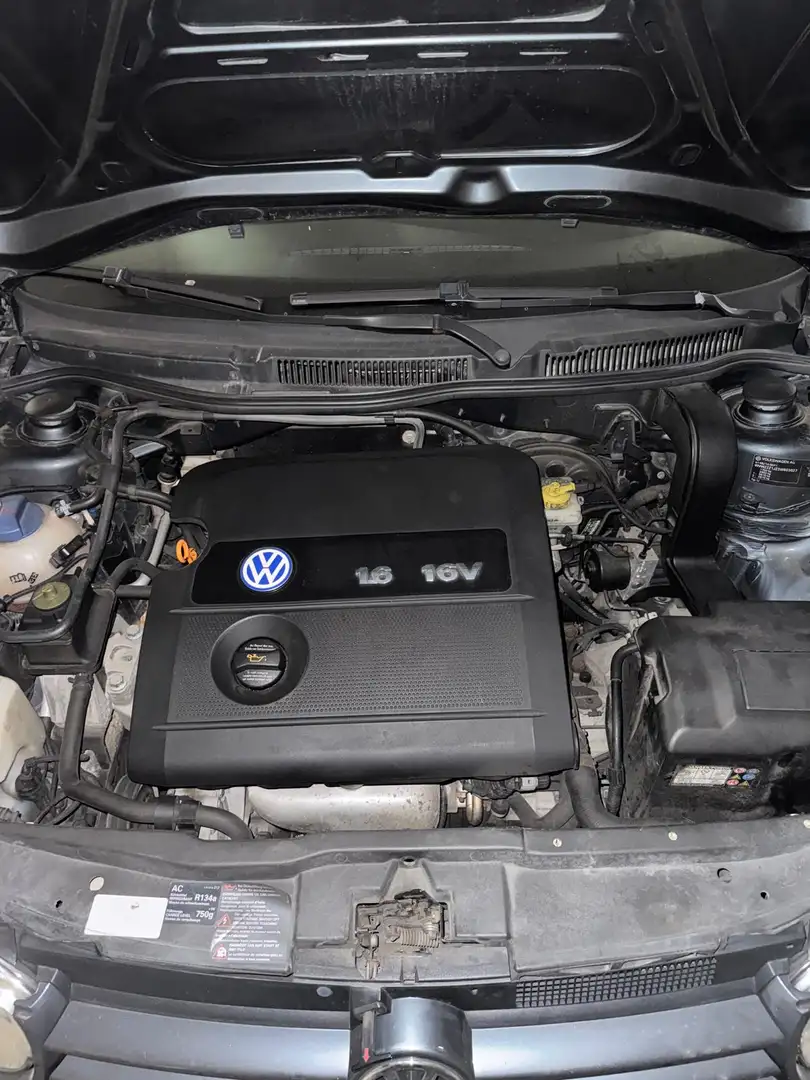 Volkswagen Golf Golf 1.6i 16V Gris - 1