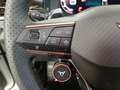CUPRA Terramar 1.5 eTSI 110 DSG Blanco - thumbnail 13