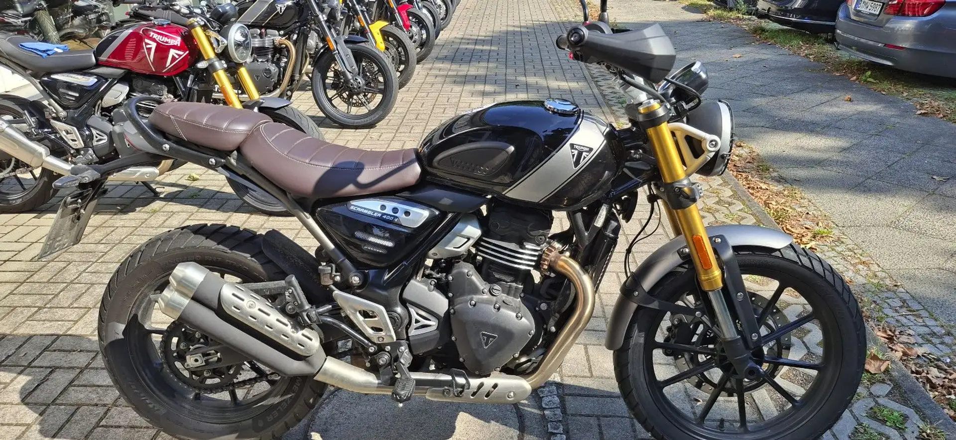 Triumph Scrabler 400 X NEUZUGANG NEUWERTIG - 1